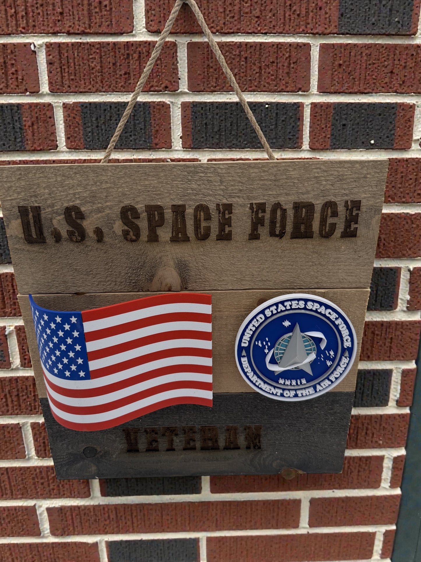 US Space Force Veteran Wall Art